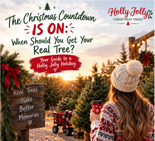 When Should You Get Your Christmas Tree? Your Guide to a Holly Jolly Holiday