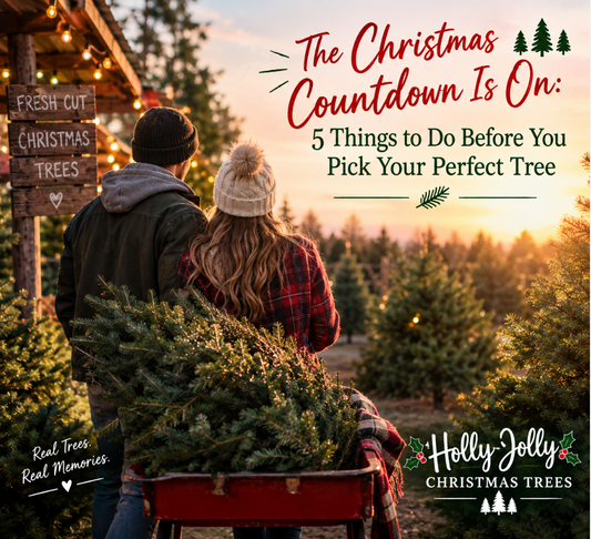The Christmas Countdown Is On: 5 Things to Do Before You Pick Your Perfect Tree