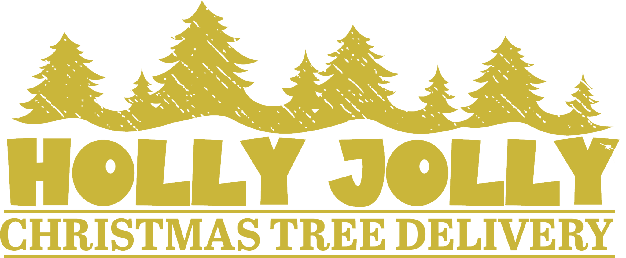 Basic Tree Packages Holly Jolly Christmas Tree Delivery